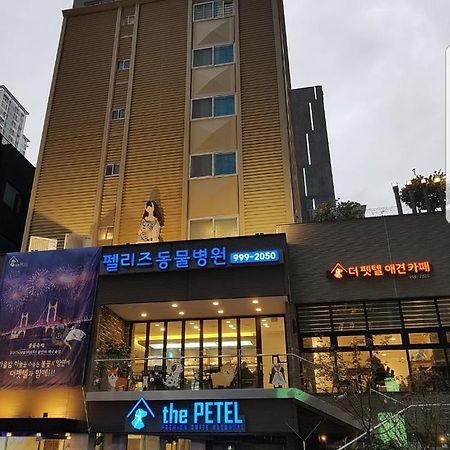 The Petel Premium Suite Ciudad Metropolitana de Ciudad Metropolitana de Busan Exterior foto