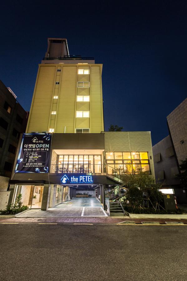 The Petel Premium Suite Ciudad Metropolitana de Ciudad Metropolitana de Busan Exterior foto