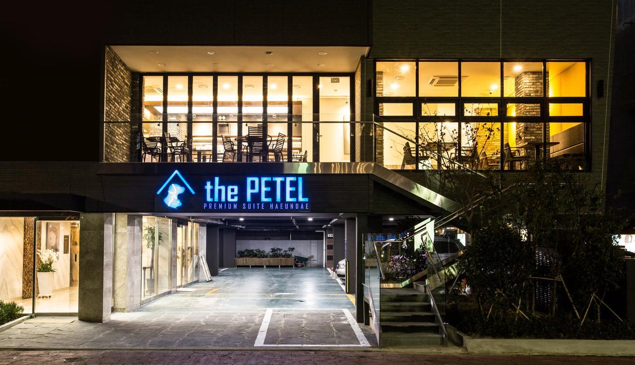 The Petel Premium Suite Ciudad Metropolitana de Ciudad Metropolitana de Busan Exterior foto