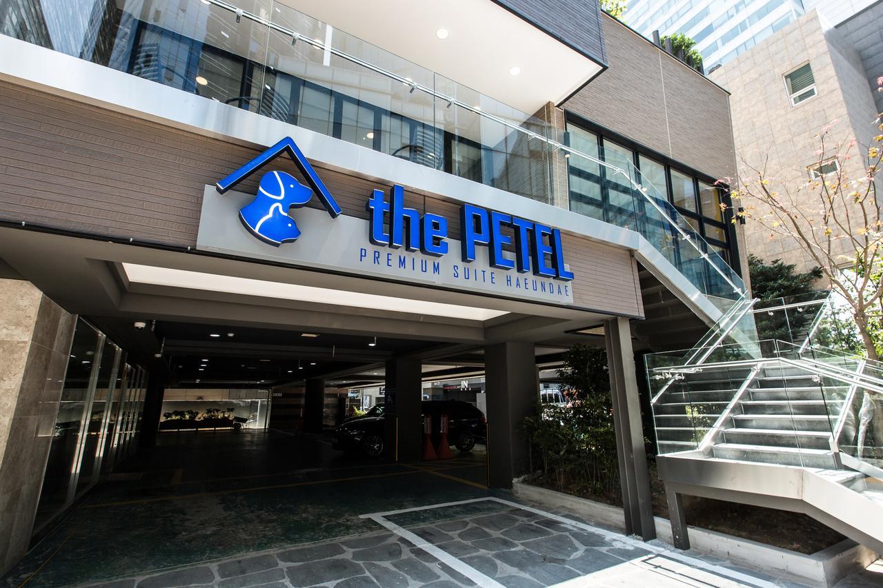 The Petel Premium Suite Ciudad Metropolitana de Ciudad Metropolitana de Busan Exterior foto